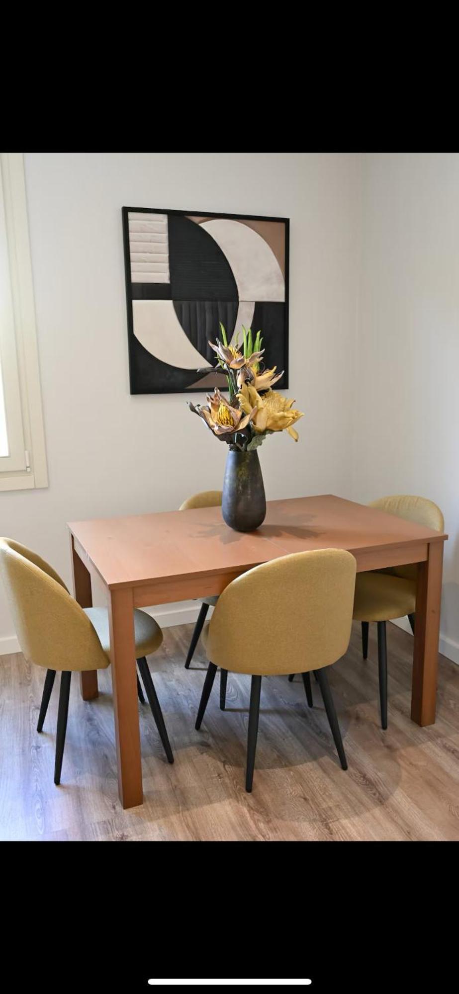 Holodek Apartments : Akropolis أثينا المظهر الخارجي الصورة